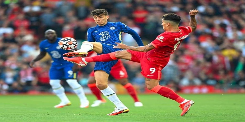 Tổng hợp các kèo cá cược 8xbet bóng đá hiện nay